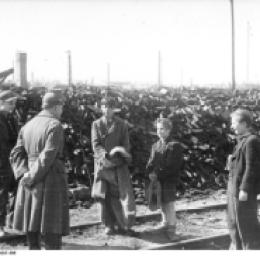 Caught stealing coal, Berlin, 1946. Bundesarchiv, Bild 183-N0207-366 / Donath, Otto / CC-BY-SA 3.0